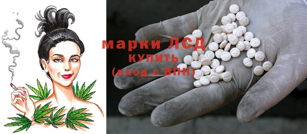 МДПВ Алзамай