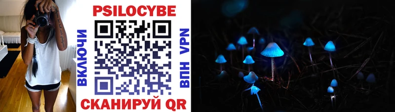Псилоцибиновые грибы Psilocybe Калтан