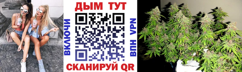 Каннабис план  Калтан 
